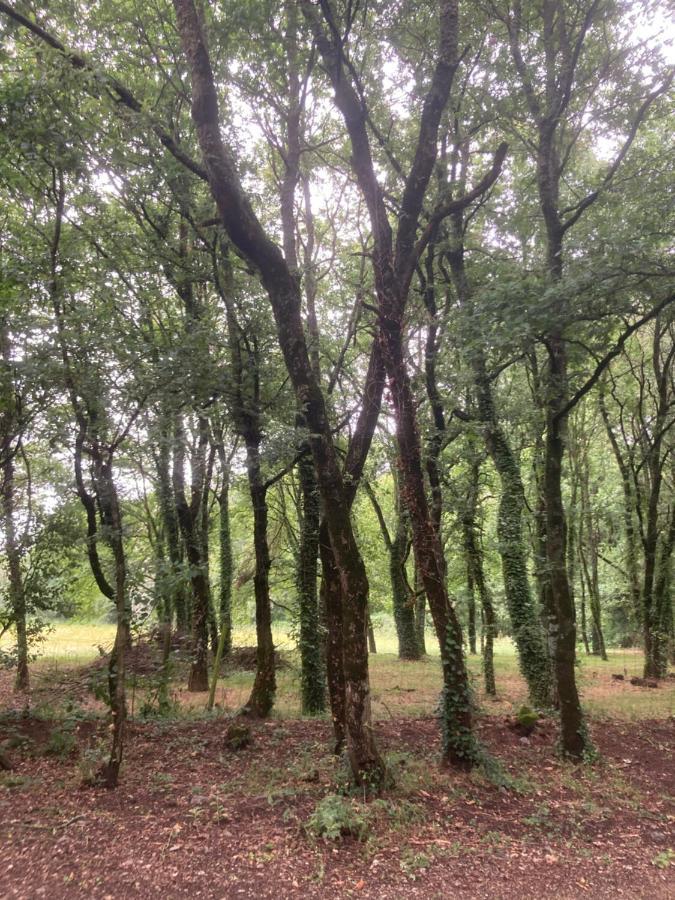Camping Vila De 사리아루고 외부 사진