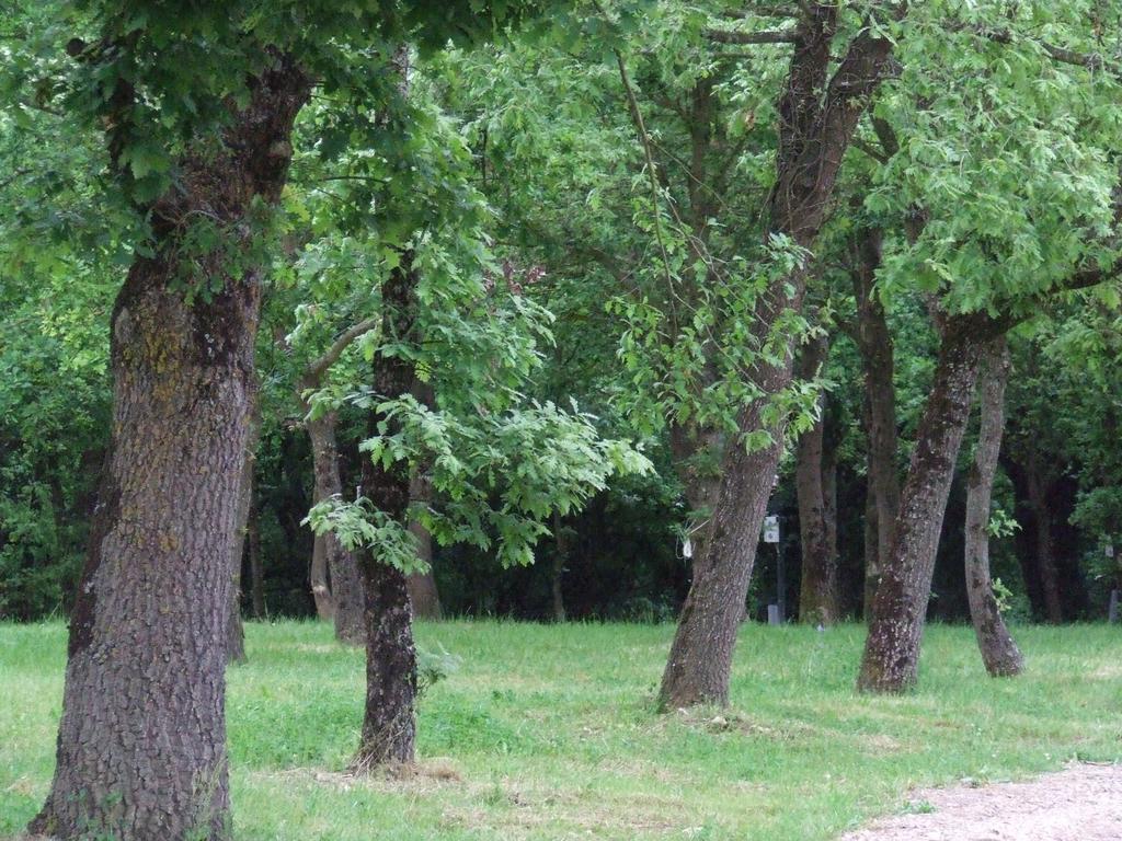 Camping Vila De 사리아루고 외부 사진