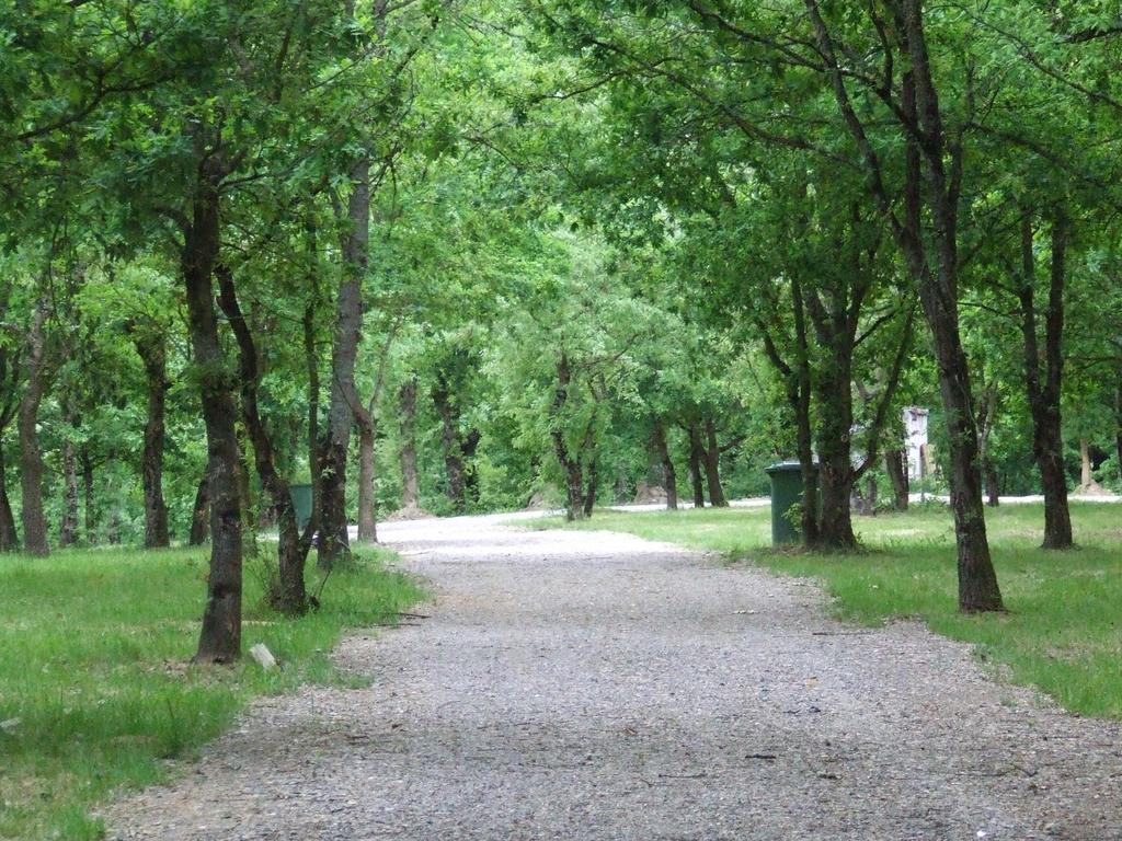 Camping Vila De 사리아루고 외부 사진